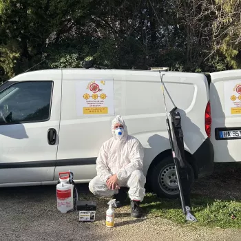 Anti Nuisibles à Sorgues