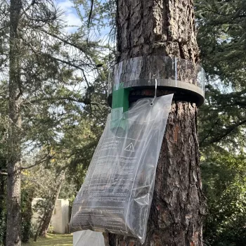 Anti Nuisibles à Sorgues